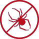 Spider Control St Leonards