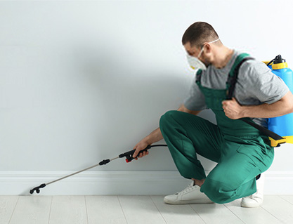 Pest Control St Leonards Services