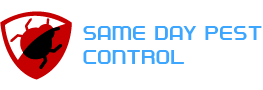 samedaypestcontrolstleonards.com.au